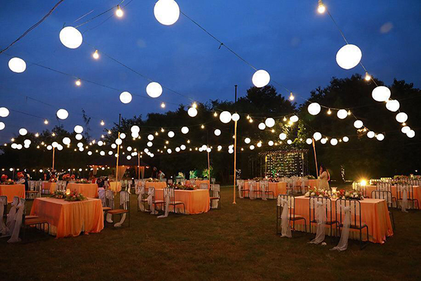 Gourmet Catering & Curated Dining Experiences