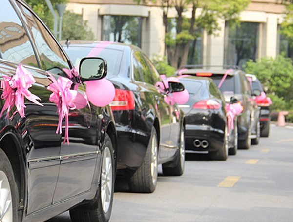 Smooth Logistics & Travel Arrangements